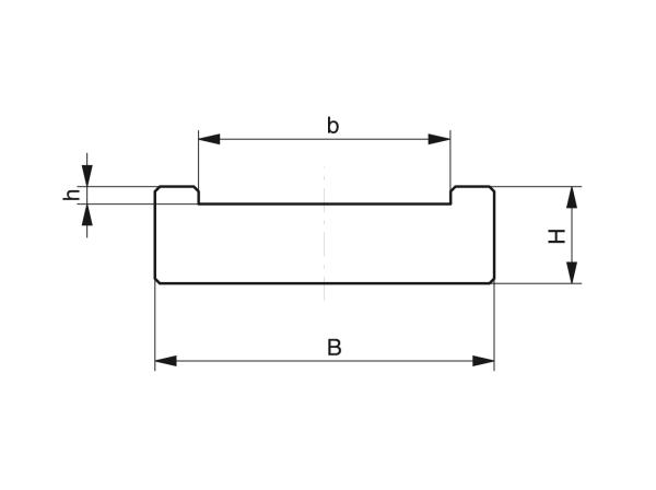 Type FR - Riemgeleidingen - Murtfeldt GmbH Kunststoffe - Technische Zeichnung 1