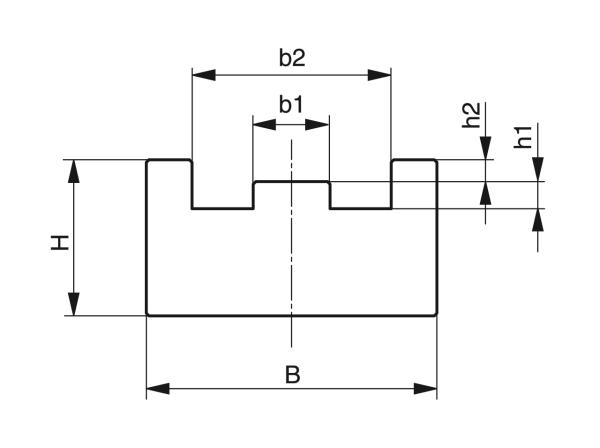 Type TS - Kettinggeleidingen voor rollenkettingen - Murtfeldt GmbH Kunststoffe - Technische Zeichnung 1